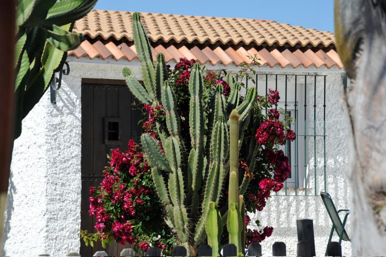 Cortijo Flamingos Apartment Chiclana de la Frontera Exterior photo
